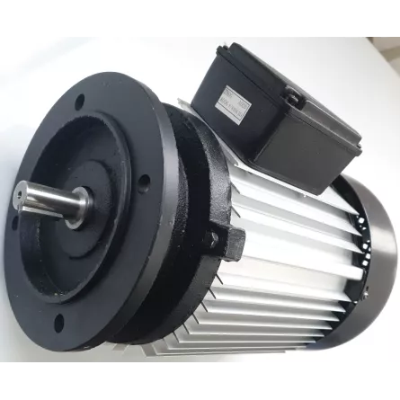 MOTORE TRIFASE FLANGIATO PER SEGATRICE A NASTRO FERVI 0692/400V E COMPATIBILI