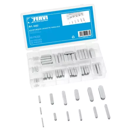 ASSORTIMENTO 60 CHIAVETTE PARALLELE FERVI 0257