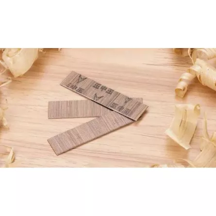 SPILLI SENZA TESTA FERVI 0588